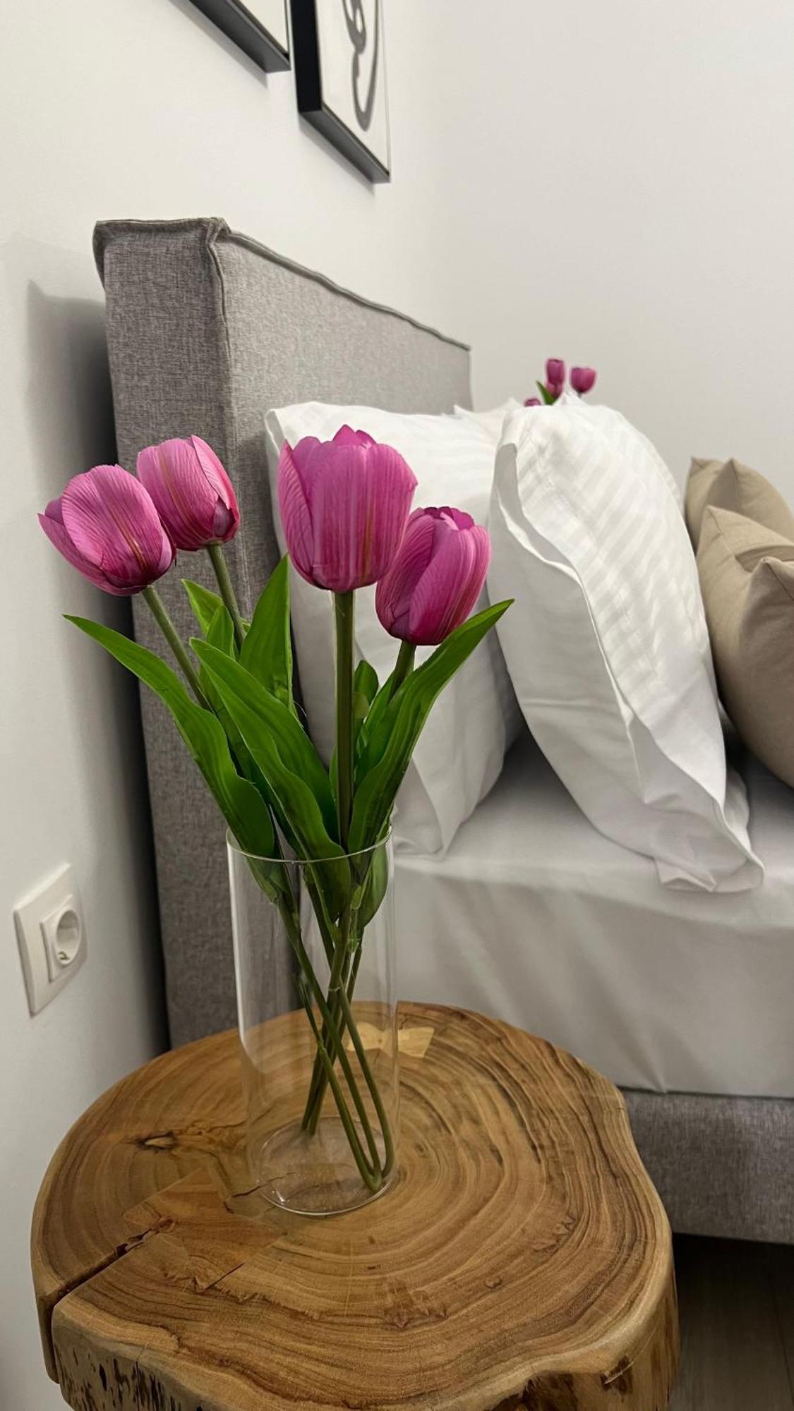 Sias Apartment Александруполис Екстериор снимка
